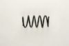 OPEL 24431899 Coil Spring